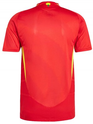 Spain maillot domicile kit de football pour hommes premier uniforme vêtements de sport hauts de football chemise de sport coupe Euro 2024